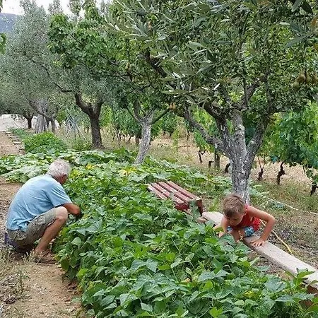 Apartamento L'oleandra *